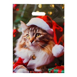 Пакет с вырубной ручкой НГ 31*40-60мкм "Новогодний Мур" (1*50/10уп)