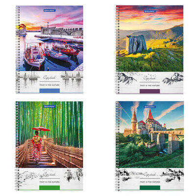 Тетрадь А4 клетка твердая обложка на спирали 80л.