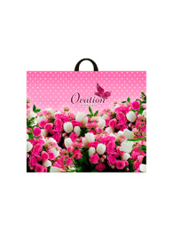 Пакет с петлевой ручкой 60*50-70мкм "Овация" (1/25/250шт)