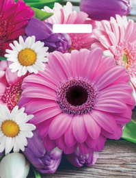 Пакет с вырубной ручкой 31*40-60мкм "Ароматная палитра" (1*50/20уп)