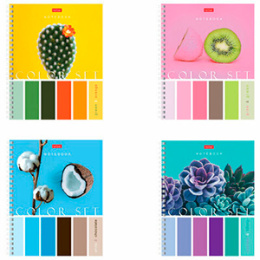 Тетрадь 80л.А5 клетка, спираль 