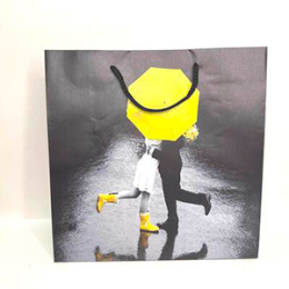 Пакет подарочный 25*25 "Q25 006-010" Микс (1/10)