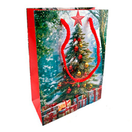 Пакет подарочный НГ 14*20 в ассортименте (1/20)