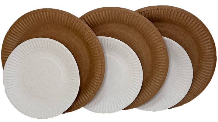 Почему стоит выбирать одноразовые тарелки