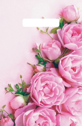 Пакет с вырубной ручкой 20*30-30мкм "Ненси" (1*100)